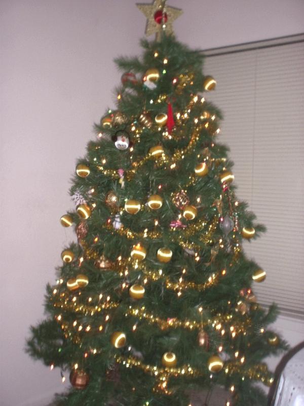 DEC1429.JPG