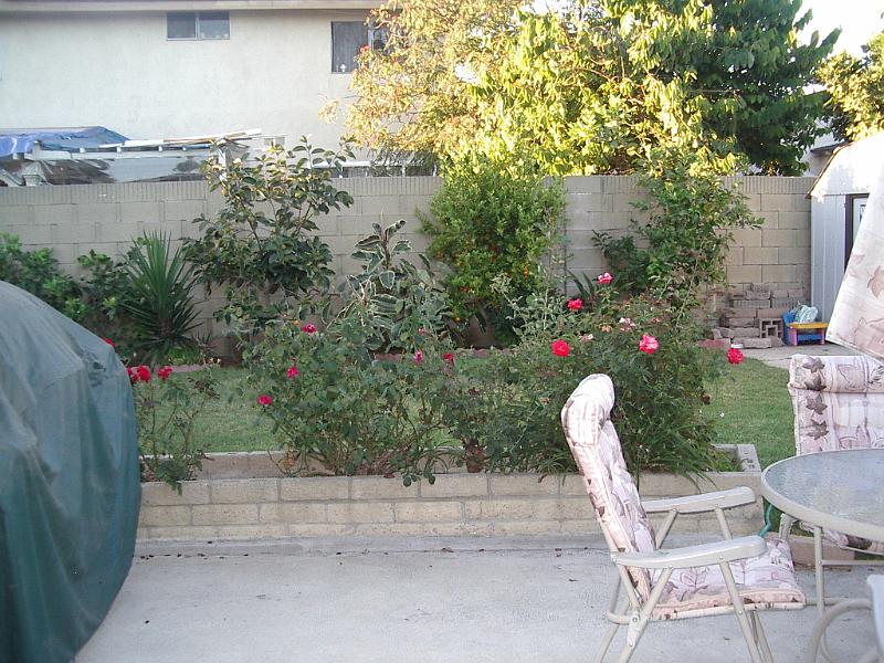 IMGP0280.JPG
