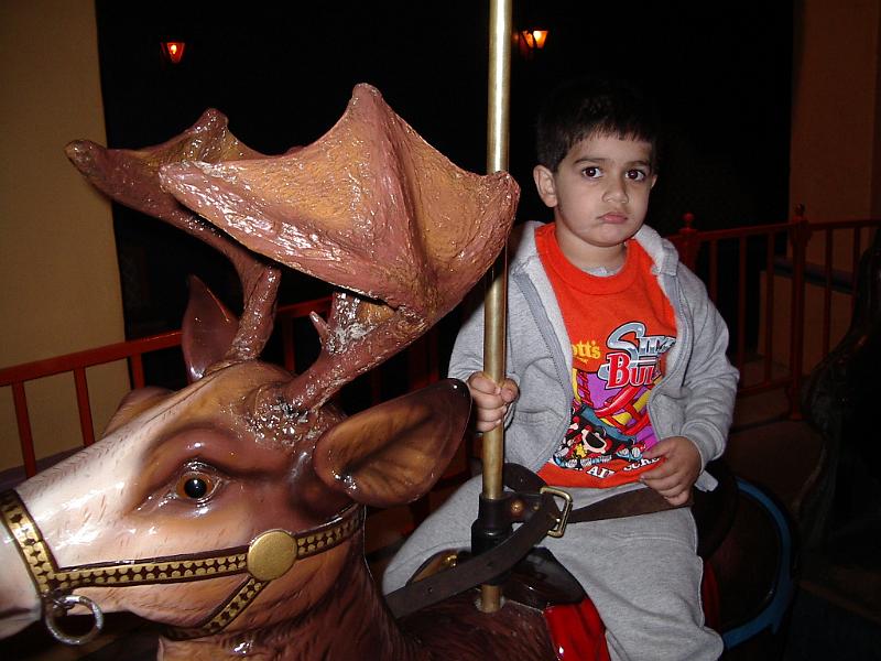 IMGP0150.JPG